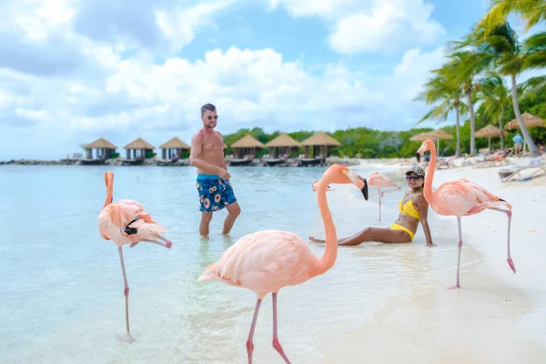 アルバ島のカリブ海でピンクのフラミンゴと一緒にビーチで男女のカップル ビーチでピンクのフラミンゴを持つアルバビーチ — ストック写真