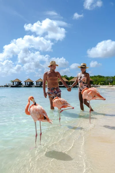 Couple Men Women Beach Pink Flamingos Aruba Island Caribbean Aruba — Stock Photo, Image