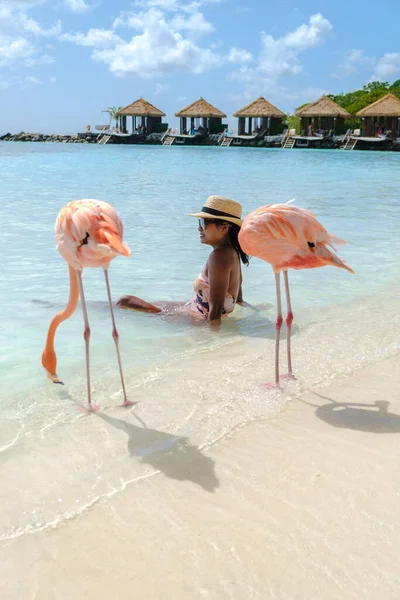 Ázsiai Nők Strandon Rózsaszín Flamingókkal Arubában Flamingó Strandon Aruba Szigetén — Stock Fotó