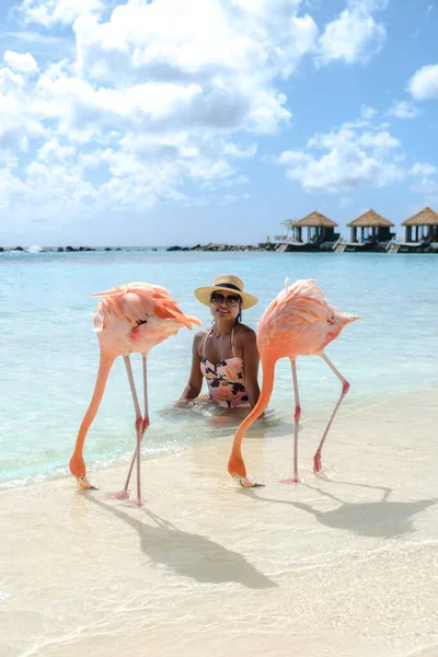 아루바 해변에서 플라밍고와 해변에 아시아 여성들 아루바 카리브해의 해변에서 플라밍고 — 스톡 사진