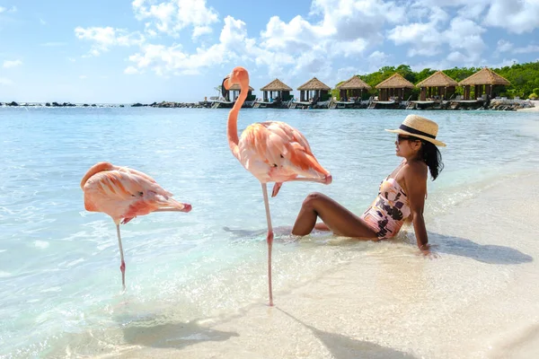 Азійські Жінки Пляжі Рожевими Фламінго Арубі Фламінго Пляжі Острові Аруба — стокове фото