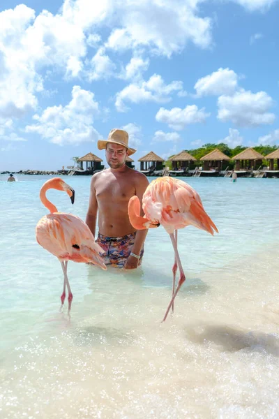 ビーチでピンクのフラミンゴとアルバビーチで帽子を持つ男性 アルバ島のビーチでフラミンゴカリブ海 — ストック写真