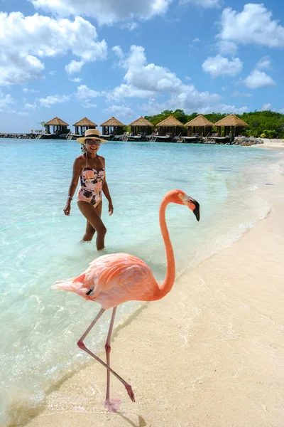 アルバのピンクのフラミンゴを持つビーチのアジアの女性 アルバ島のビーチでフラミンゴカリブ海 — ストック写真