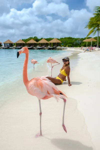 アルバ島のピンクのフラミンゴのいるビーチの女性カリブ海のアルバ島のビーチのフラミンゴ — ストック写真