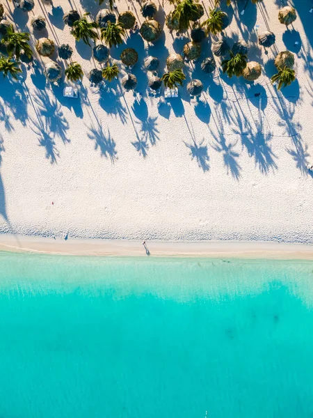 Palm Beach Aruba Karayipleri, Aruba Antilleri 'nde palmiye ağaçları ve mavi bir okyanusla beyaz kumlu plaj..