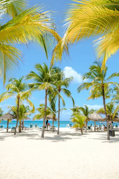 Palm Beach Aruba Karayipleri, Aruba Antilleri 'nde palmiye ağaçları ve mavi bir okyanusla beyaz kumlu plaj..
