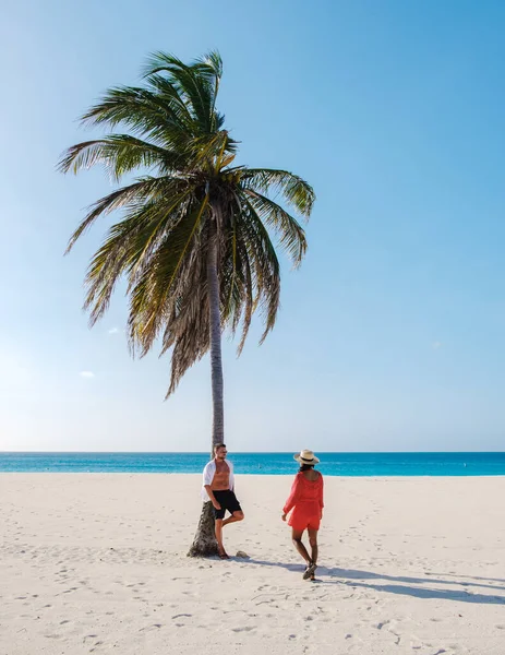 Eagle Beach Aruba Palm Trees Aan Kustlijn Van Eagle Beach — Stockfoto