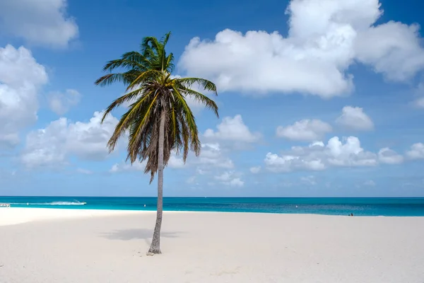 Eagle Beach Aruba Palm Trees Kystlinjen Eagle Beach Aruba Flydroneutsikt – stockfoto