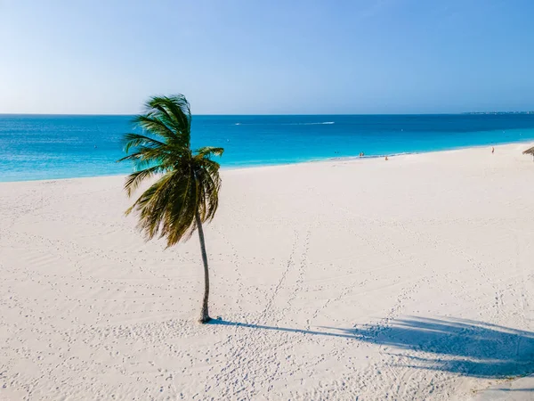 Eagle Beach Aruba Palm Trees Stranden Eagle Beach Aruba Antenn — Stockfoto