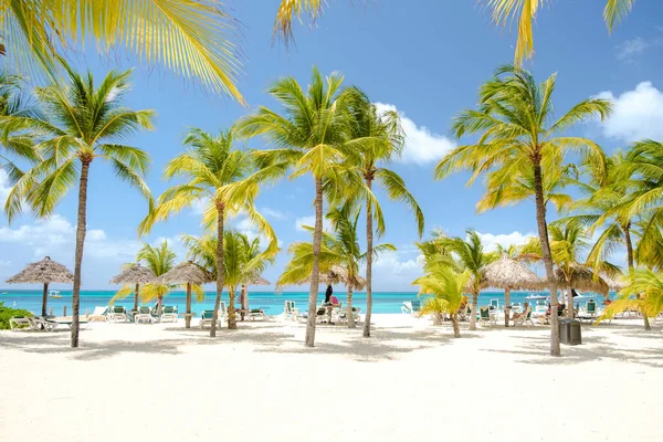 Palm Beach Aruba Caribbean Белый Длинный Песчаный Пляж Пальмами Голубым Лицензионные Стоковые Изображения