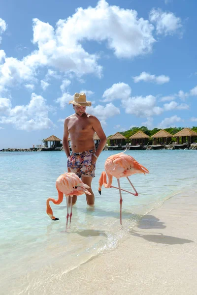 Мужчины Шляпе Пляже Арубы Розовыми Фламинго Пляже Фламинго Пляже Острове — стоковое фото