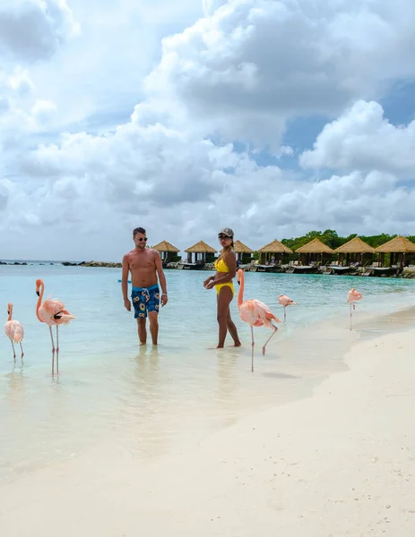 ビーチでピンクのフラミンゴを持つアルバビーチ 休暇中にアルバ島カリブ海でピンクのフラミンゴを持つビーチで男女のカップル — ストック写真