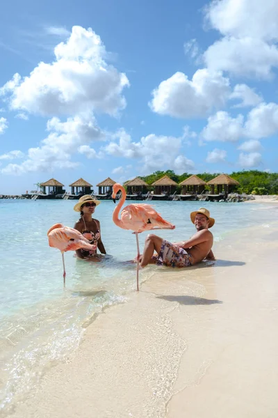 Plajda Pembe Flamingoları Olan Aruba Plajı Tatil Sırasında Aruba Adası — Stok fotoğraf