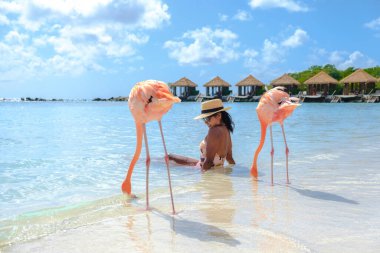 Kadınlar plajda pembe flamingolarla Aruba 'da, flamingolar Aruba Adası' nda Karayipler 'de plajda.