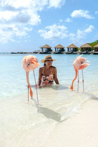 Женщины Пляже Розовыми Фламинго Арубе Фламинго Пляже Карибском Море Острова — стоковое фото