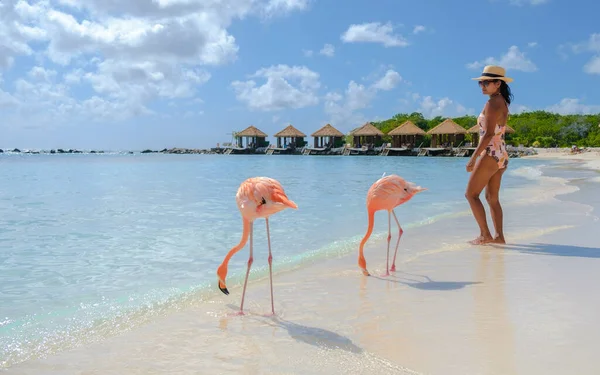 Жінки Пляжі Рожевими Фламінго Арубі Фламінго Пляжі Острові Аруба Кариби — стокове фото