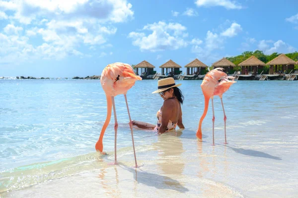 Nők Strandon Rózsaszín Flamingókkal Arubában Flamingó Strandon Aruba Szigetén Karib — Stock Fotó