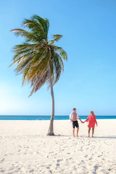 Eagle Beach Aruba Aruba Daki Eagle Beach Sahilinde Palm Trees — Stok fotoğraf