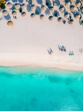 Kartal Sahili Aruba, Aruba 'daki Eagle Sahili' nin kıyısında Palm Trees, kumsalda bir hava aracı manzarası.