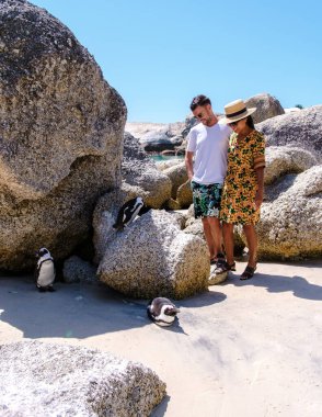 Simons Town 'daki Boulders Sahili, Cape Town, Güney Afrika. Güzel penguenler. Güney Afrika 'da kayalık bir sahilde Afrika penguenleri kolonisi. Cape Town 'daki penguenleri ziyaret eden bir çift erkek ve kadın.