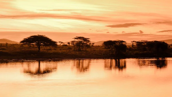 Закат Озера Бассейна Саванне Южной Африке Kwazulu Natal Красивый Закат — стоковое фото