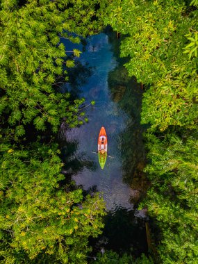 Krabi Tayland ormanında kayak yapan çift, Krabi mangrov ormanında tropikal bir ormanda kano süren erkek ve kadın..