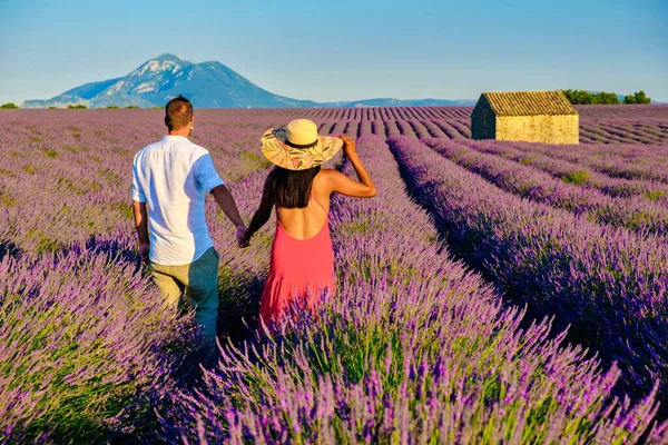 Provence Lavender Field France Valensole Plateau Colorful Field Lavender Valensole — стокове фото