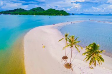 Tayland Laem 'de tropik bir adada beyaz kum ve palmiye ağaçlarının olduğu bir plaj olan Koh Yao Yai Tayland' da sahilde yürüyen birkaç erkek ve kadın vardı.