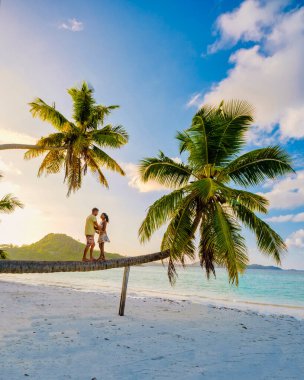 Praslin Seychelles tropikal adası, plajları geniş ve palmiye ağaçları olan, hamaklarda iki erkek ve kadın Anse Volber Seyşeller 'deki bir palmiye ağacının altında sallanıyor..