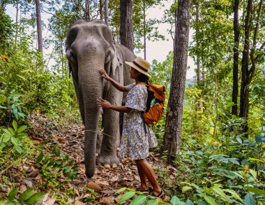 Chiang Mai Tayland 'da bir fil barınağını ziyaret eden Asyalı bir kadın, Chiang Mai Tayland ormanında filli bir kız..