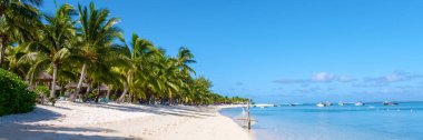 Le Morne beach Mauritius Tropical beach with palm trees and white sand blue ocean and beach beds with umbrellas, sun chairs, and parasols under a palm tree at a tropical beach. Mauritius Le Morne