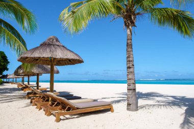 Le Morne plajı Mauritius Tropikal plajı. Palmiye ağaçları, beyaz kum mavisi okyanus ve şemsiyeli plaj yatakları, güneş sandalyeleri ve tropik bir sahildeki palmiye ağacının altında şemsiyeler. Mauritius Le Morne