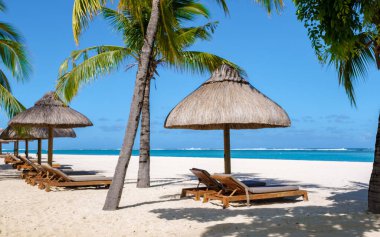 Le Morne plajı Mauritius Tropikal plajı palmiye ağaçları, beyaz kum mavisi okyanus ve şemsiyeli plaj yatakları, güneş sandalyeleri, Mauritius Le Morne 'deki palmiye ağacının altındaki mavi gökyüzü.