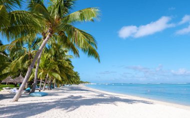 Le Morne plajı Mauritius Tropikal plajı. Palmiye ağaçları, beyaz kum mavisi okyanus ve şemsiyeli plaj yatakları, güneş sandalyeleri ve palmiye ağacının altında tropik bir plaj şemsiyesi.