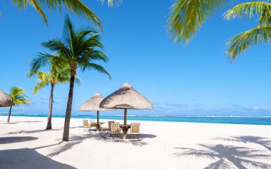 Le Morne plajı Mauritius Tropikal plajı palmiye ağaçları ve beyaz kum mavisi okyanus ve şemsiyeli plaj yatakları, güneş sandalyeleri ve palmiye ağacının altındaki şemsiyeler. 