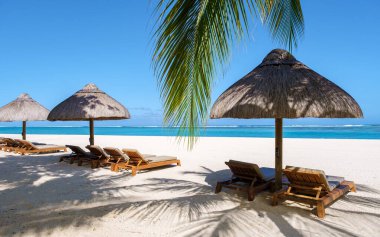 Le Morne plajı Mauritius Tropikal plajı palmiye ağaçları, beyaz kum mavisi okyanus ve şemsiyeli plaj yatakları, güneş sandalyeleri, Mauritius Le Morne 'deki palmiye ağacının altındaki mavi gökyüzü.