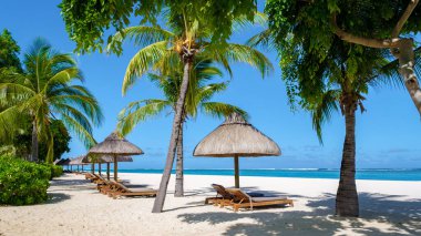 Le Morne plajı Mauritius Tropikal plajı. Palmiye ağaçları, beyaz kum mavisi okyanus ve şemsiyeli plaj yatakları, güneş sandalyeleri ve palmiye ağacının altında tropik bir plaj şemsiyesi.