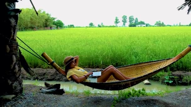 Азіатські Жінки Гамаку Працюють Ноутбуці Зеленими Рисовими Полями Таїланді — стокове відео
