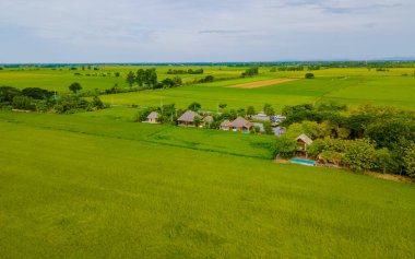 Merkez Tayland Suphanburi bölgesinde yeşil pirinç tarlaları olan bambu kulübesi çiftliği, Tayland 'daki yeşil pirinç tarlalarının insansız hava aracı görüntüsü.