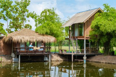 Merkez Tayland Suphanburi bölgesinde yeşil pirinç tarlaları olan bambu kulübesi çiftliği, Tayland 'daki yeşil pirinç tarlalarının insansız hava aracı görüntüsü.