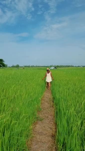 Mulheres Férias Tailândia Andando Uma Estrada Meio Campos Arroz Verde — Vídeo de Stock