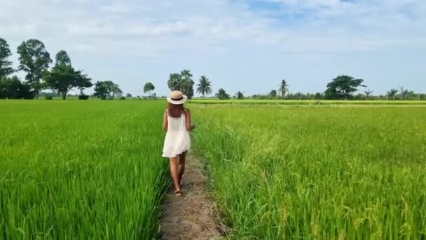 Women Vacation Thailand Walking Road Middle Green Rice Paddy Fields — Stock Video