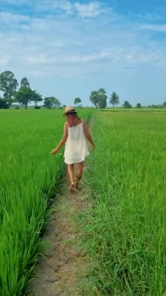 中央タイのスーパーブリ地方の緑の田んぼの真ん中を歩くタイの休暇中の女性 — ストック動画