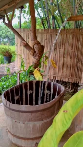 Бамбуковая Хижина Ферма Зелеными Рисовыми Полями Центральном Таиланде Ванночкой Видом — стоковое видео