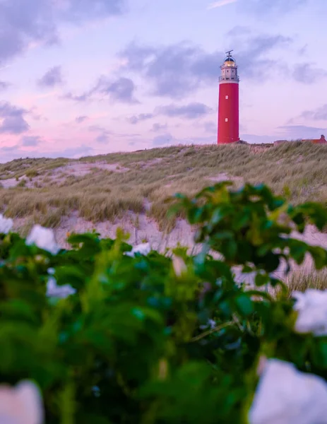 Faro Texell Atardecer Países Bajos Dutch Island Texel Verano Con —  Fotos de Stock