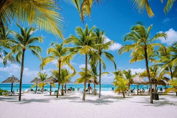 Palm Beach Aruba Karayipleri, Aruba Antilleri 'nde palmiye ağaçları olan uzun kumlu plaj.
