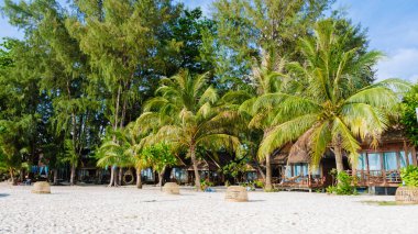 Tayland 'da sahilde bambu kulübeler. Tayland 'da basit bir sırt çantalı konaklama