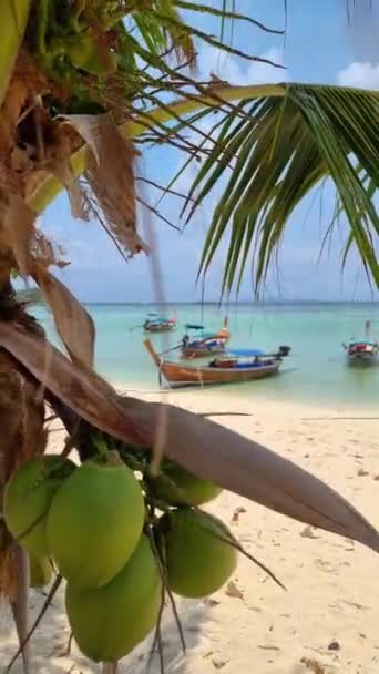 Wyspa Koh Lipe Południowa Tajlandia Turkusowym Oceanem Białą Piaszczystą Plażą — Wideo stockowe