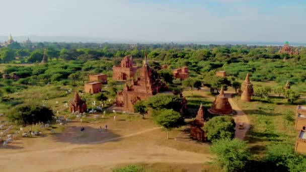 バガンミャンマー バガンミャンマーの寺院や塔の上に日の出 寺院や塔のある風景 — ストック動画