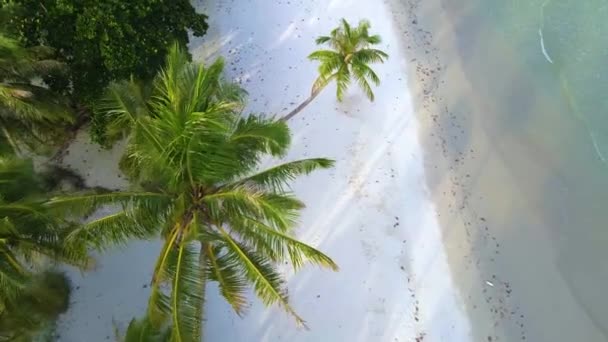 Остров Куд Koh Kood Island Thailand Trat Вид Дрона Пляж — стоковое видео
